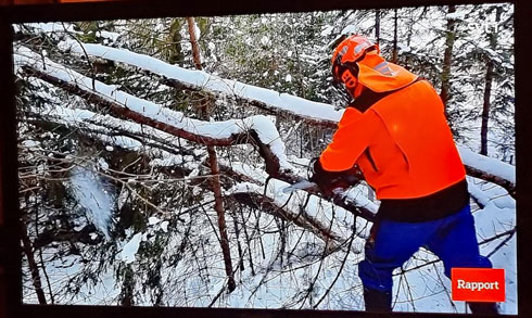 SVT Stormen Johannes